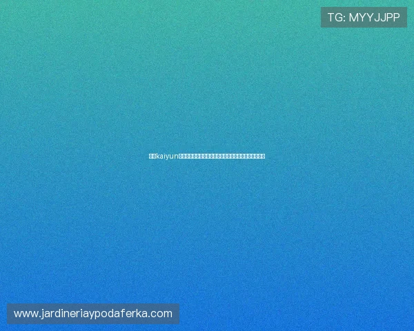 掌握kaiyun网页版在线登录流程提升游戏体验的实用技巧与注意事项