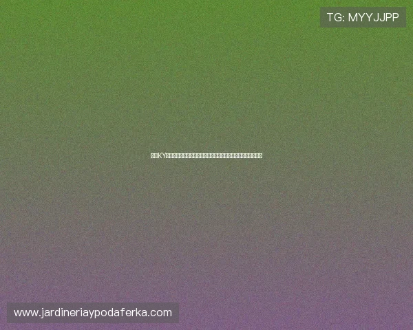 利用KY体育在线登录入口畅享世界杯直播高清画质与精彩赛事回放内容