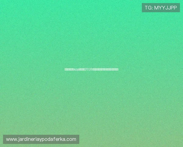 利用开云综合app快速获取2026年世界杯比赛精彩集锦与赛场热点分析